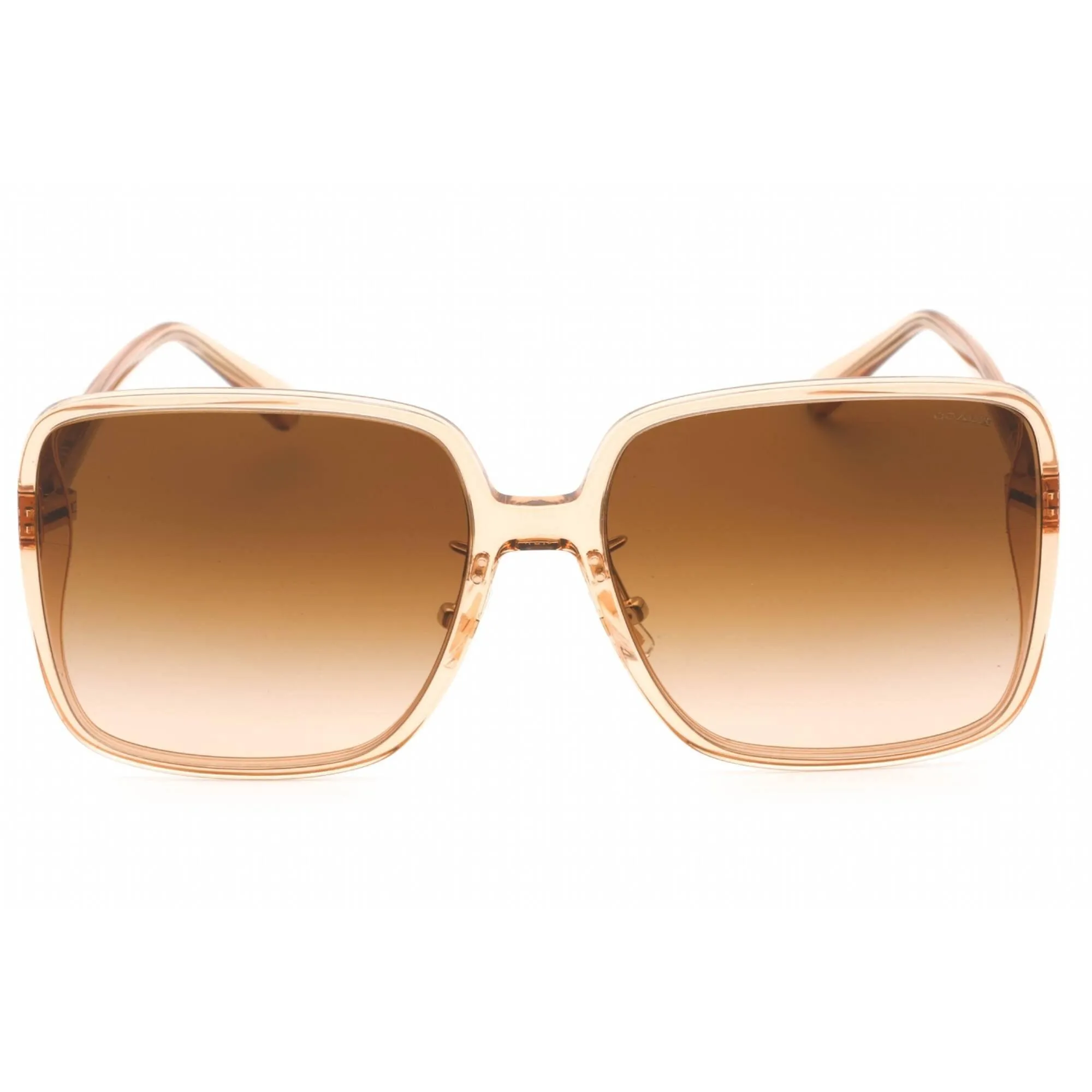 Coach Women's Sunglasses - Transparent Brown Plastic Full Rim Frame | 0HC8368D 556174