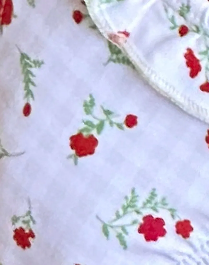 Lentra Bikini Bottom in Red Floral Beige Gingham with Ruffle