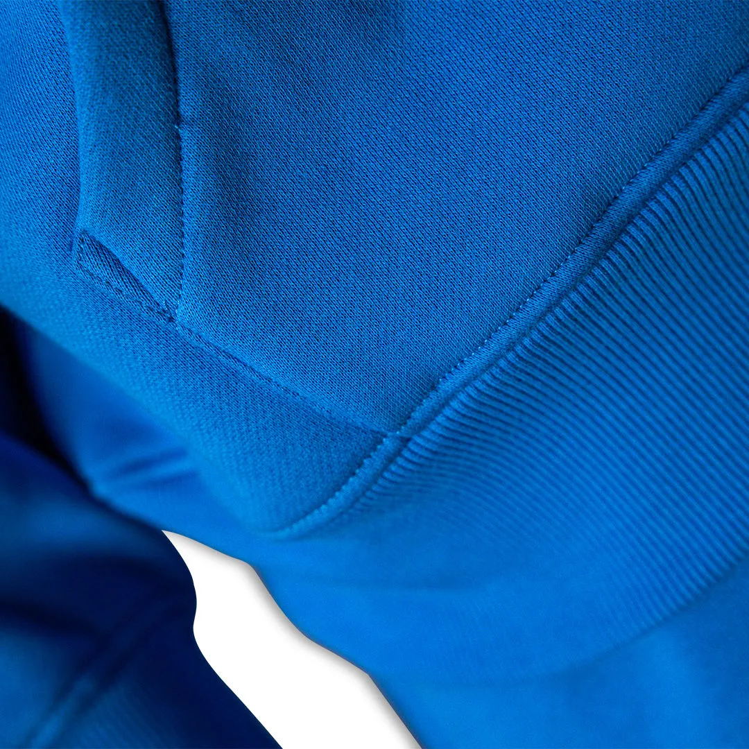 PLEASURES Virgin Zip Hoodie Blue