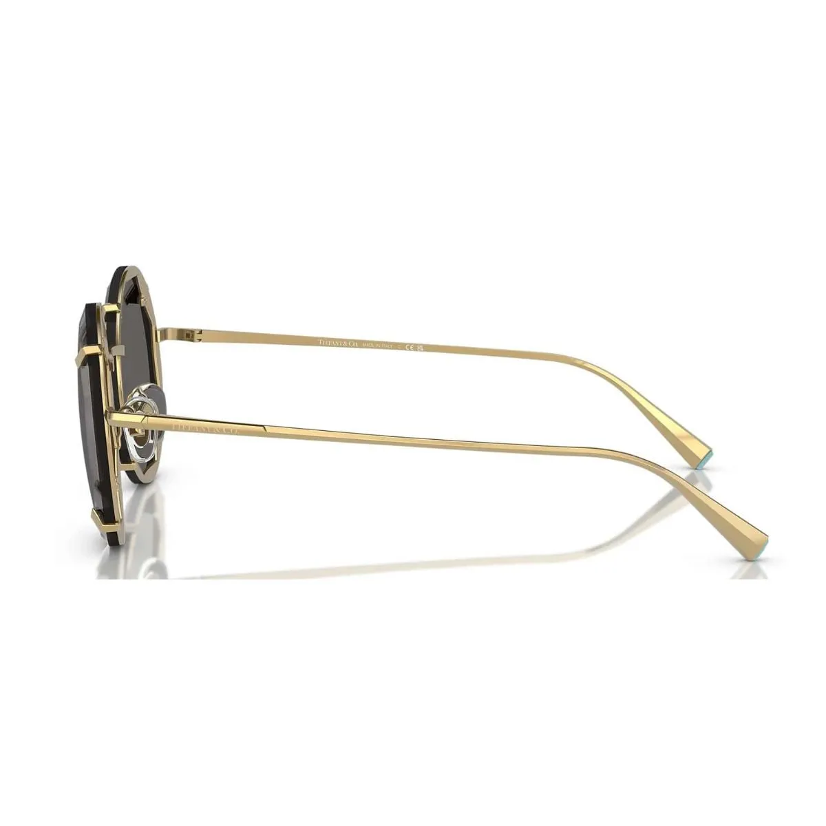 Tiffany & Co 3091 6002/S4 Sunglass