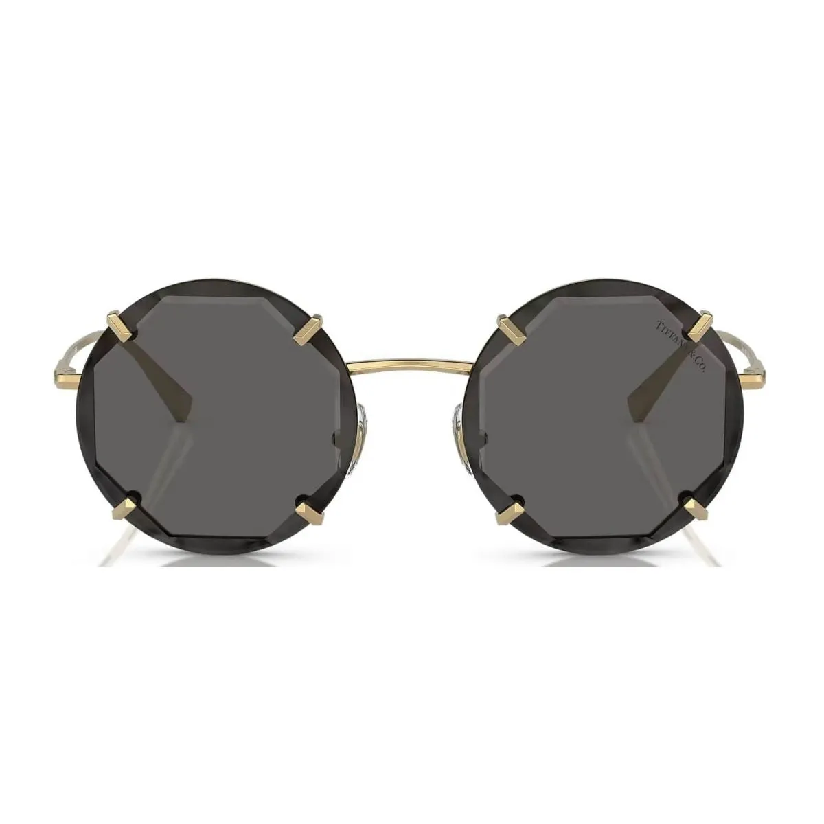 Tiffany & Co 3091 6002/S4 Sunglass