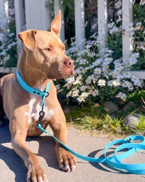 Waterproof Slip Collar & Multi-Way Leash Set | Built with BioThane®